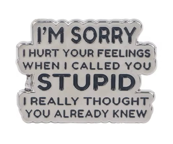 I’m sorry I called you stupid… pin badge