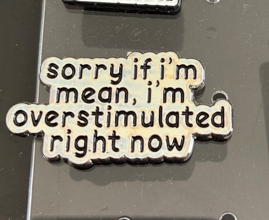 Sorry if I’m mean pin badge